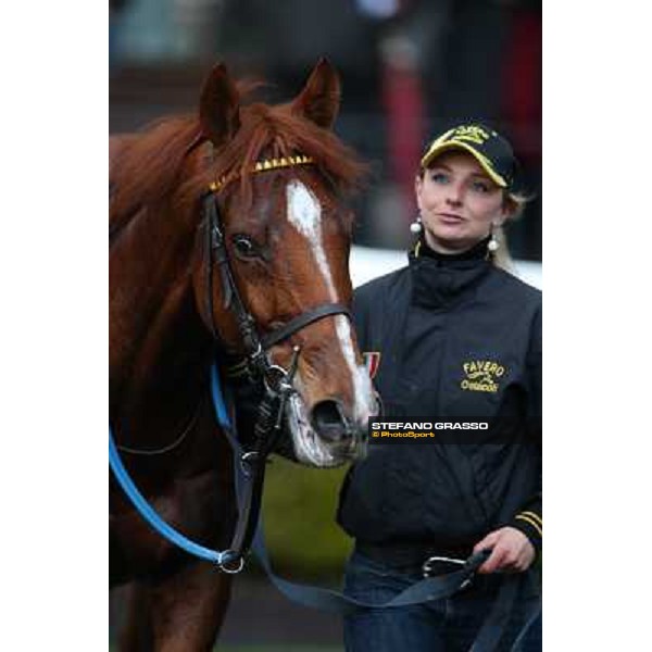 Cross Fade parades with his groom after winning the 65° Gran Corsa di Siepi di Roma Rome, Capannelle racecourse, 19th january 2013 ph.Stefano Grasso
