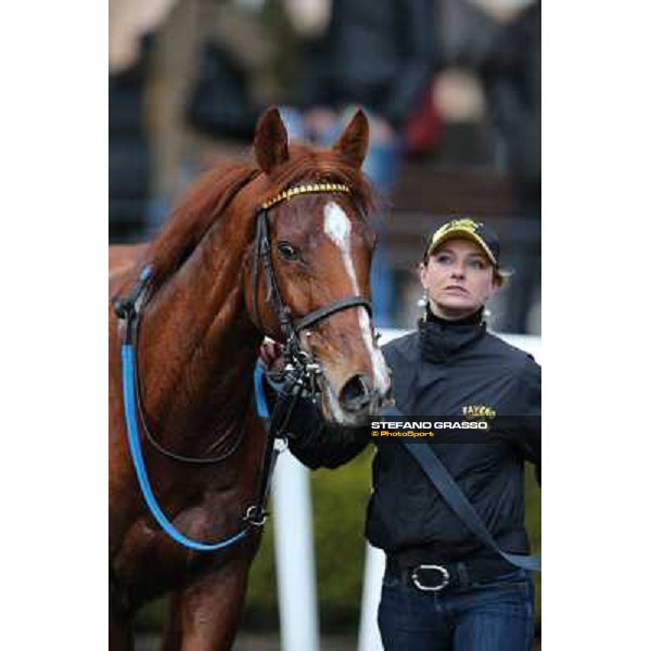 Cross Fade parades with his groom after winning the 65° Gran Corsa di Siepi di Roma Rome, Capannelle racecourse, 19th january 2013 ph.Stefano Grasso