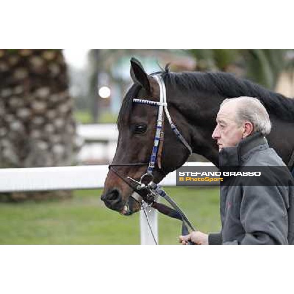 Frammassone 2nd placed in the 65° Gran Corsa di Siepi di Roma Rome, Capannelle racecourse, 19th january 2013 ph.Stefano Grasso