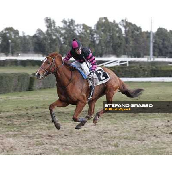 Josef Bartos and Cross Fade win the 65° Gran Corsa di Siepi di Roma Rome, Capannelle racecourse, 19th january 2013 ph.Stefano Grasso
