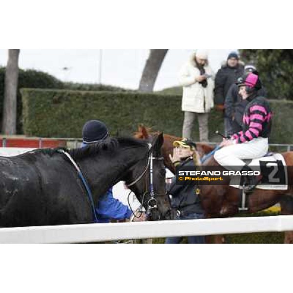 Josef Bartos on Cross Fade and Frammassone , 1st and seconf in the 65° Gran Corsa di Siepi di Roma Rome, Capannelle racecourse, 19th january 2013 ph.Stefano Grasso