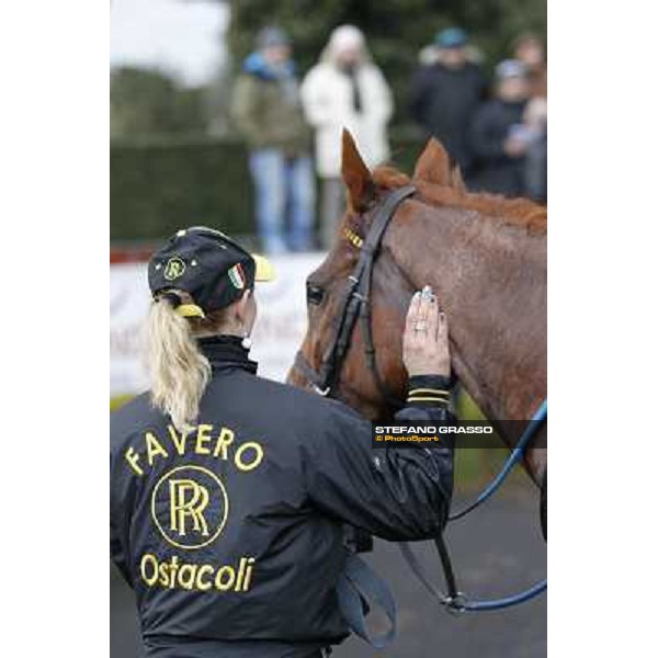 Cross Fade parades with his groom after winning the 65° Gran Corsa di Siepi di Roma Rome, Capannelle racecourse, 19th january 2013 ph.Stefano Grasso