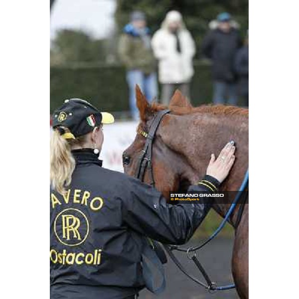 Cross Fade parades with his groom after winning the 65° Gran Corsa di Siepi di Roma Rome, Capannelle racecourse, 19th january 2013 ph.Stefano Grasso