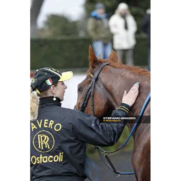 Cross Fade parades with his groom after winning the 65° Gran Corsa di Siepi di Roma Rome, Capannelle racecourse, 19th january 2013 ph.Stefano Grasso