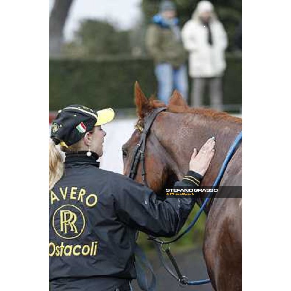 Cross Fade parades with his groom after winning the 65° Gran Corsa di Siepi di Roma Rome, Capannelle racecourse, 19th january 2013 ph.Stefano Grasso