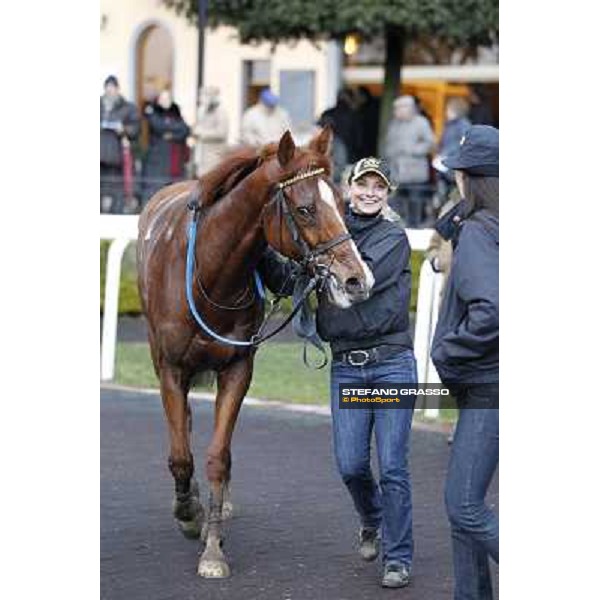 Cross Fade parades with his groom after winning the 65° Gran Corsa di Siepi di Roma Rome, Capannelle racecourse, 19th january 2013 ph.Stefano Grasso