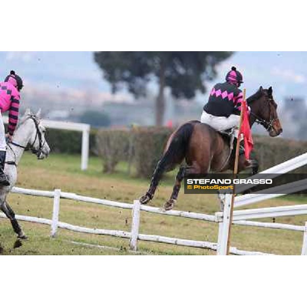 Raffaele Romano and Wan win the 124° Grande Steeple Chase di Roma - Mem.Gen.Mario Argenton Rome, Capannelle racecourse, 19th january 2013 ph.Stefano Grasso