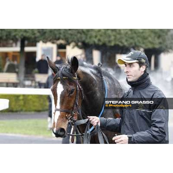 Raffaele Romano and Wan win the 124° Grande Steeple Chase di Roma - Mem.Gen.Mario Argenton Rome, Capannelle racecourse, 19th january 2013 ph.Stefano Grasso