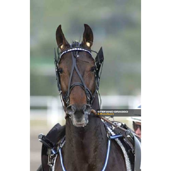 close up for Stig Johansson and Digger Crown Napoli, 8th may 2005 ph. Stefano Grasso