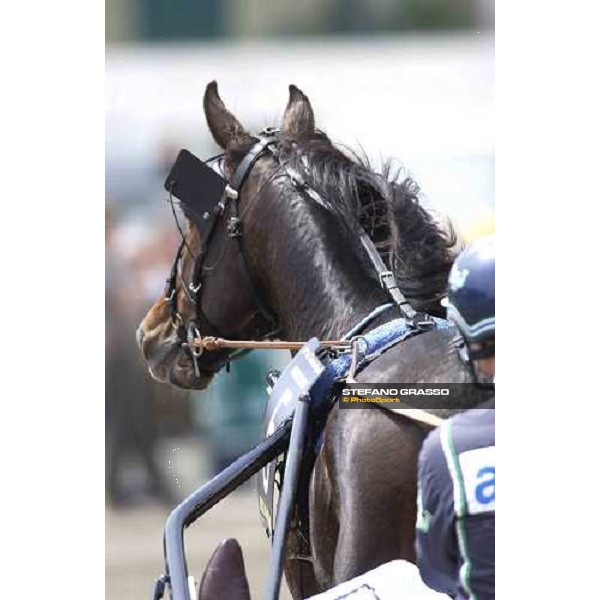 Stig Johansson with Digger Crown Napoli, 8th may 2005 ph. Stefano Grasso