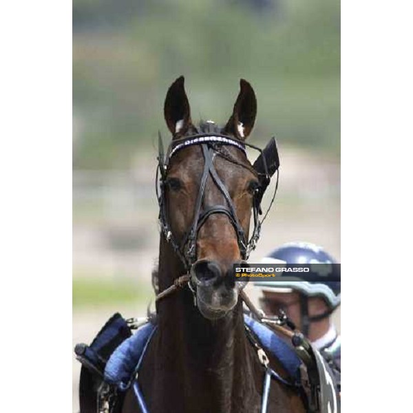 Digger Crown and Stig Johansson Napoli, 8th may 2005 ph. Stefano Grasso