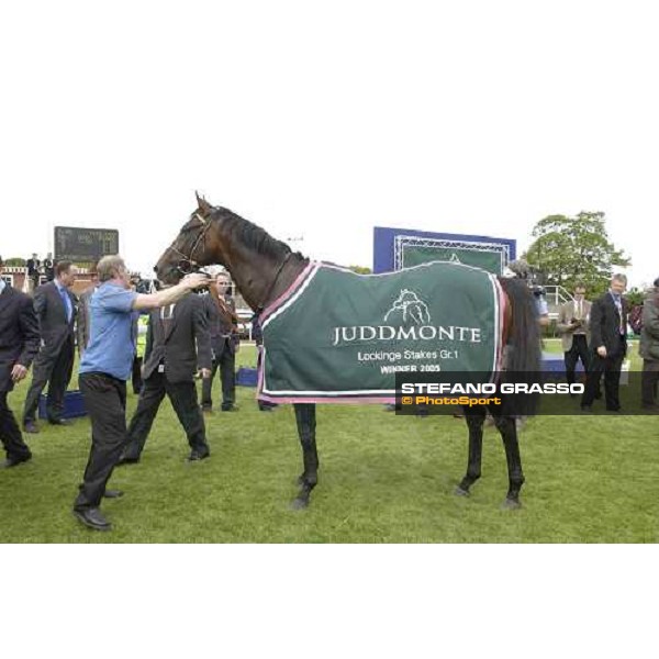 Rakti winner of the Juddmonte Lockinge Stakes in the winner enclosure Newbury 14th may 2005 ph. Stefano Grasso