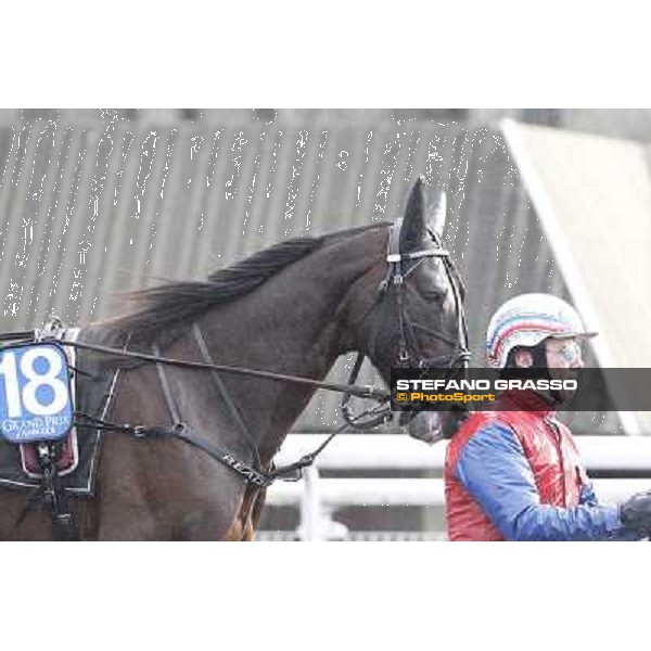 Ready Cash 92° Grand Prix d\'Amerique Paris - Vincennes racecourse,27th january 2013 ph.Stefano Grasso