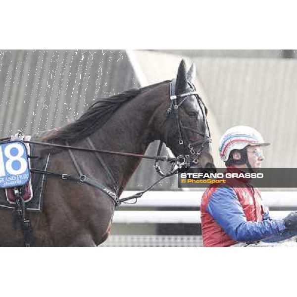 Ready Cash 92° Grand Prix d\'Amerique Paris - Vincennes racecourse,27th january 2013 ph.Stefano Grasso