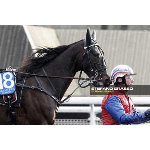 Ready Cash 92° Grand Prix d\'Amerique Paris - Vincennes racecourse,27th january 2013 ph.Stefano Grasso