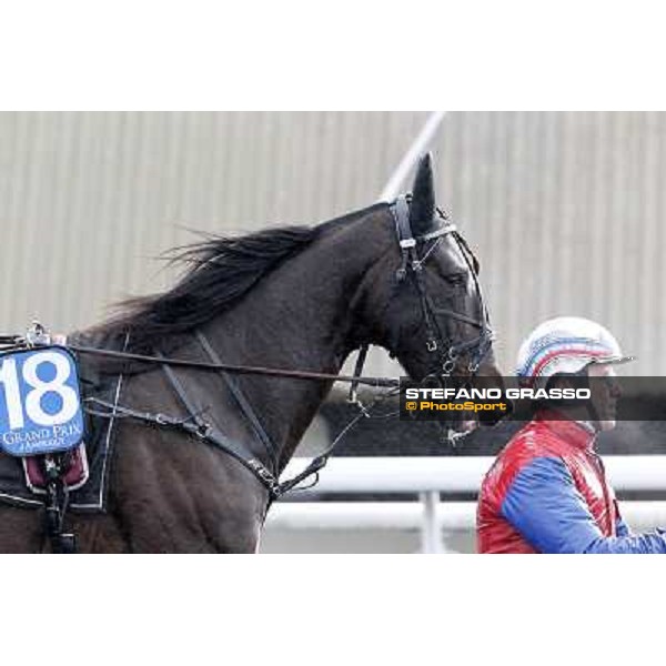 Ready Cash 92° Grand Prix d\'Amerique Paris - Vincennes racecourse,27th january 2013 ph.Stefano Grasso
