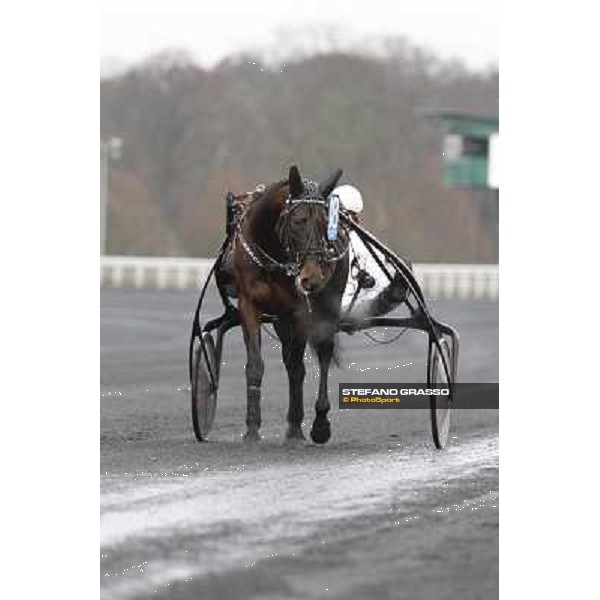 Ready Cash 92° Grand Prix d\'Amerique Paris - Vincennes racecourse,27th january 2013 ph.Stefano Grasso