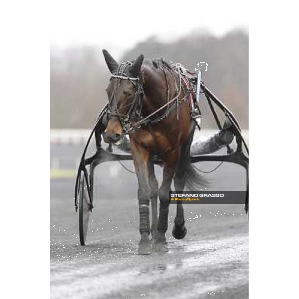 Ready Cash 92° Grand Prix d\'Amerique Paris - Vincennes racecourse,27th january 2013 ph.Stefano Grasso
