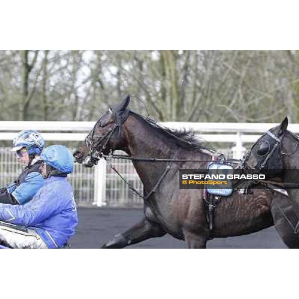 Ready Cash 92° Grand Prix d\'Amerique Paris - Vincennes racecourse,27th january 2013 ph.Stefano Grasso