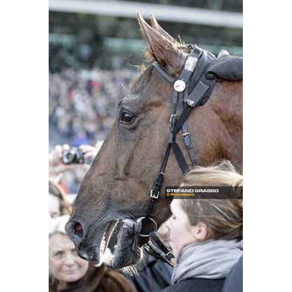 Royal Dream 92° Grand Prix d\'Amerique Paris - Vincennes racecourse,27th january 2013 ph.Stefano Grasso