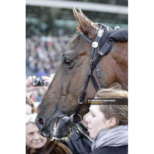 Royal Dream 92° Grand Prix d\'Amerique Paris - Vincennes racecourse,27th january 2013 ph.Stefano Grasso