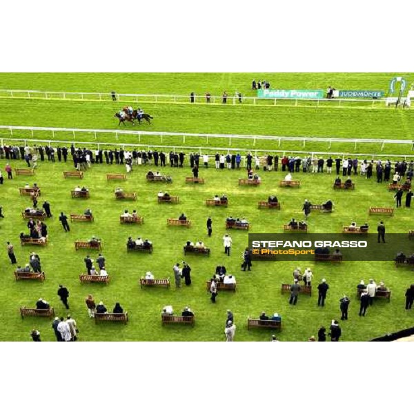 Racing! Newbury 14th may 2005 ph. Stefano Grasso