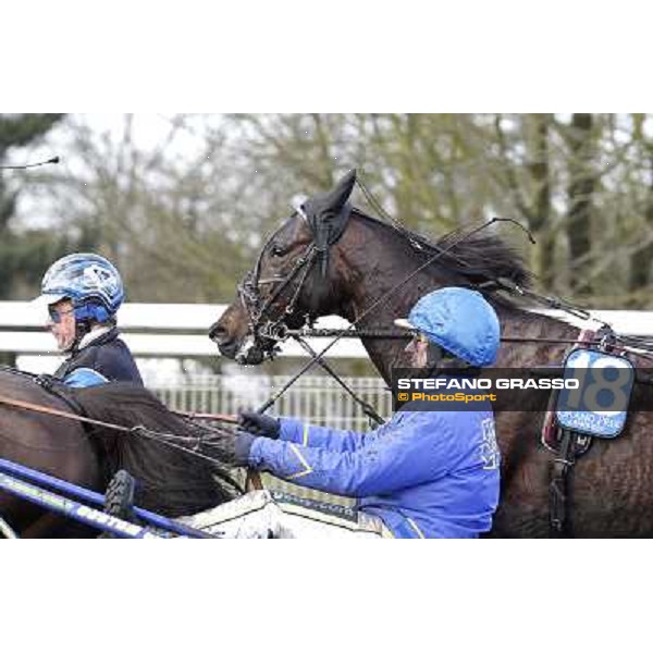 Ready Cash during the Grand Prix d\'Amerique Paris - Vincennes racecourse,27th january 2013 ph.Stefano Grasso