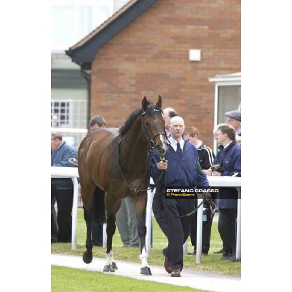 Le Vie dei Colori before the Juddmonte Lockinge Stakes Newbury 14th may 2005 ph. Stefano Grasso