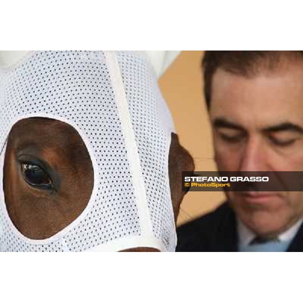 a very close up for Noble Hachy and her trainer Luigi Riccardi preparing before winning the race. Rome, Capannelle racecourse,1st march 2013 ph.Stefano Grasso