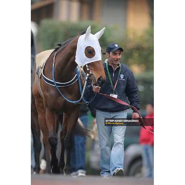 Noble Hachy Rome, Capannelle racecourse, 1st march 2012 ph.Stefano Grasso