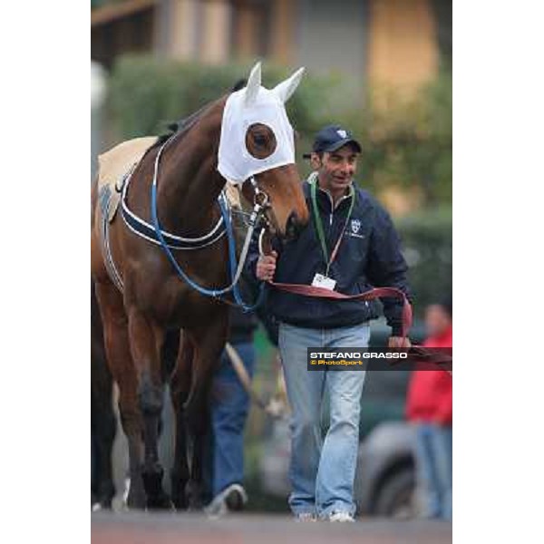 Noble Hachy Rome, Capannelle racecourse, 1st march 2012 ph.Stefano Grasso