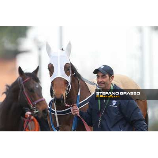Noble Hachy Rome, Capannelle racecourse, 1st march 2012 ph.Stefano Grasso
