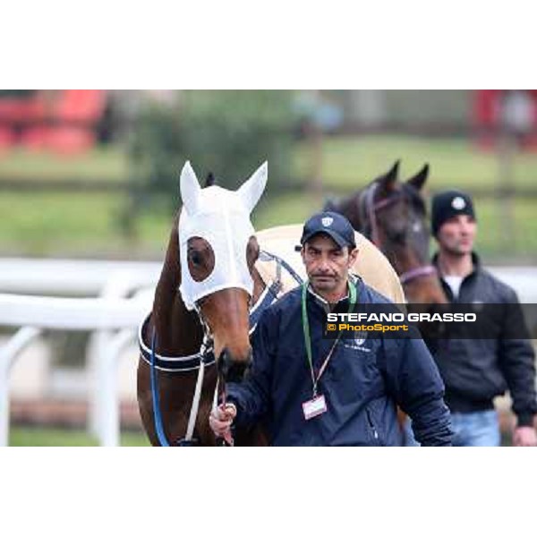 Noble Hachy Rome, Capannelle racecourse, 1st march 2012 ph.Stefano Grasso