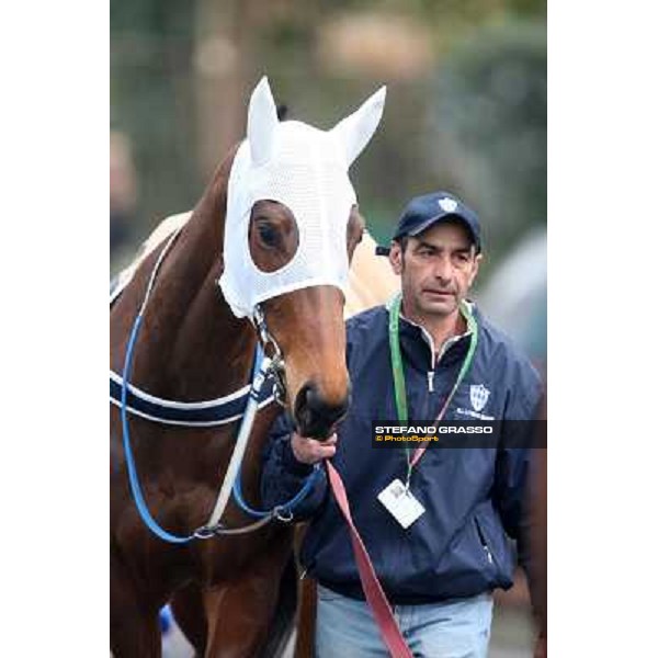 Noble Hachy Rome, Capannelle racecourse, 1st march 2012 ph.Stefano Grasso
