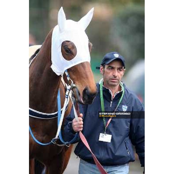 Noble Hachy Rome, Capannelle racecourse, 1st march 2012 ph.Stefano Grasso