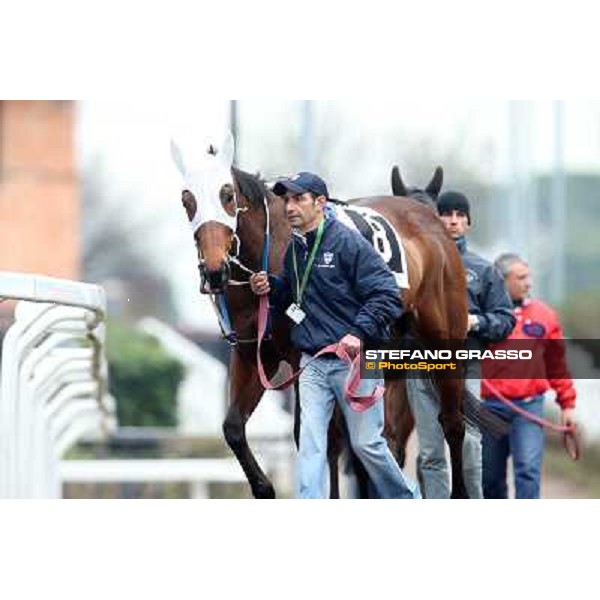 Noble Hachy Rome, Capannelle racecourse, 1st march 2012 ph.Stefano Grasso
