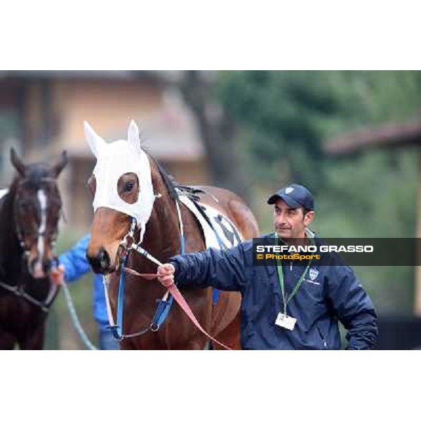 Noble Hachy Rome, Capannelle racecourse, 1st march 2012 ph.Stefano Grasso