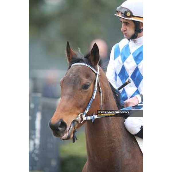 Noble Hacky and Fabio Branca Rome, Capannelle racecourse, 1st march 2012 ph.Stefano Grasso