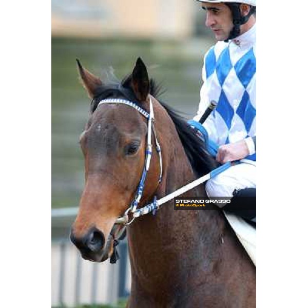 Noble Hacky and Fabio Branca Rome, Capannelle racecourse, 1st march 2012 ph.Stefano Grasso