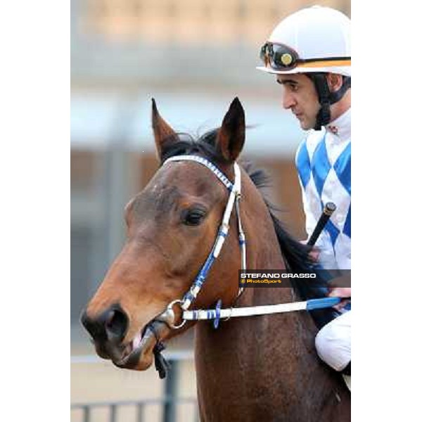 Noble Hacky and Fabio Branca Rome, Capannelle racecourse, 1st march 2012 ph.Stefano Grasso