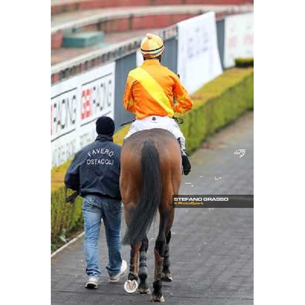 Raffaele Romano on Lo Zoccolo Duro Rome, Capannelle racecourse, 1st march 2013 ph.Stefano Grasso