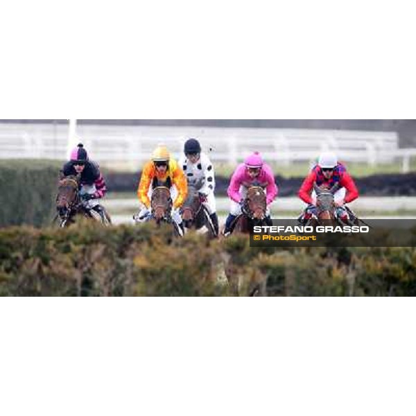 Racing during the Premio Neni Da Zara Rome, Capannelle racecourse, 1st march 2013 ph.Stefano Grasso