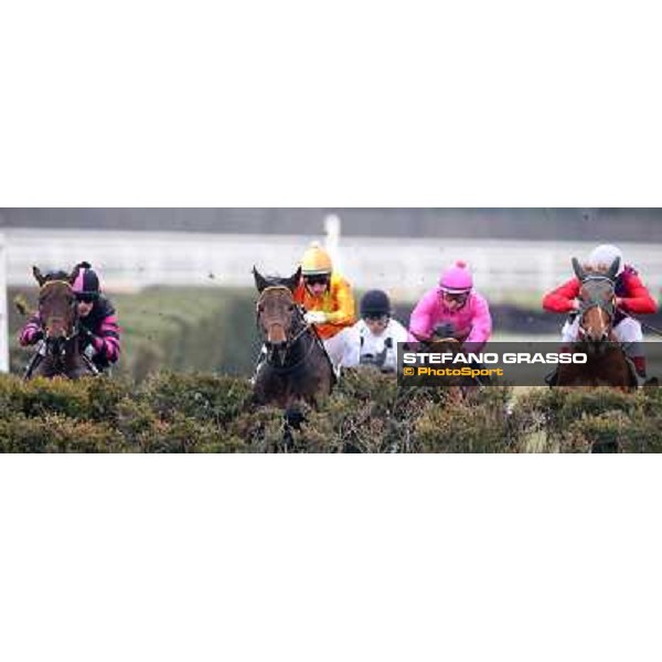 Racing during the Premio Neni Da Zara Rome, Capannelle racecourse, 1st march 2013 ph.Stefano Grasso