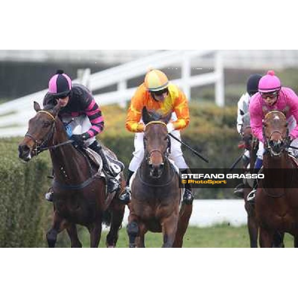 Racing during the Premio Neni Da Zara Rome, Capannelle racecourse, 1st march 2013 ph.Stefano Grasso