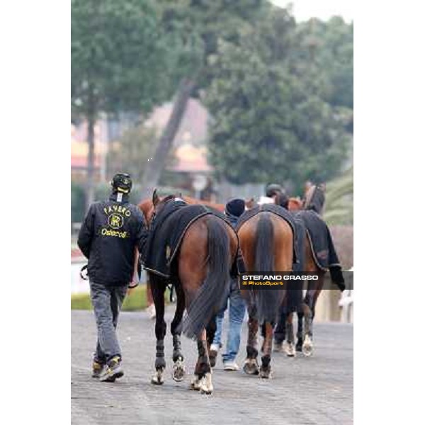 Wet and Wild Rome, Capannelle racecourse, 1st march 2013 ph.Stefano Grasso