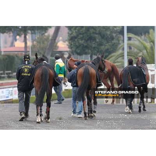 Wet and Wild Rome, Capannelle racecourse, 1st march 2013 ph.Stefano Grasso