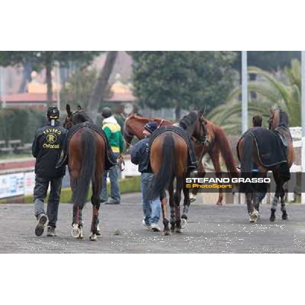 Wet and Wild Rome, Capannelle racecourse, 1st march 2013 ph.Stefano Grasso