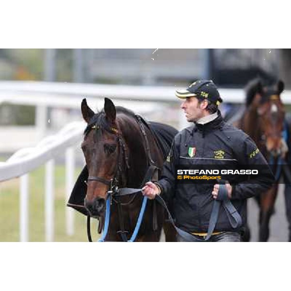 Wet and Wild Rome, Capannelle racecourse, 1st march 2013 ph.Stefano Grasso