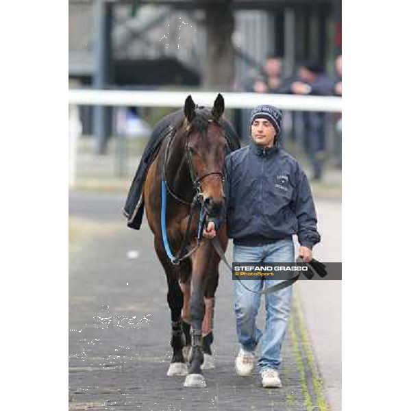 Lo Zoccolo Duro Rome, Capannelle racecourse, 1st march 2013 ph.Stefano Grasso