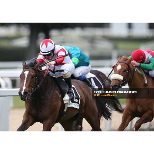 Gabriele Bietolini and Shirley\'s Kitten win the Premio Ceprano Rome, Capannelle racecourse, 10th march 2013 ph.Stefano Grasso